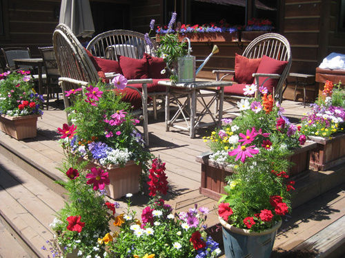Teton View Bed And Breakfast วิลสัน ภายนอก รูปภาพ